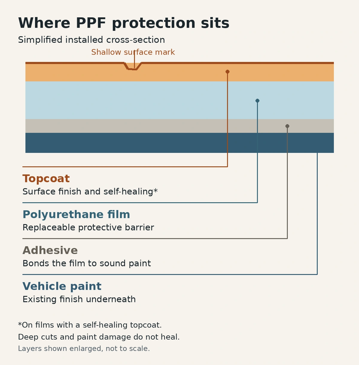 Cross-section showing PPF topcoat, polyurethane film and adhesive above vehicle paint
